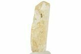 Gemmy Imperial Topaz Crystal - Zambia #231316-1
